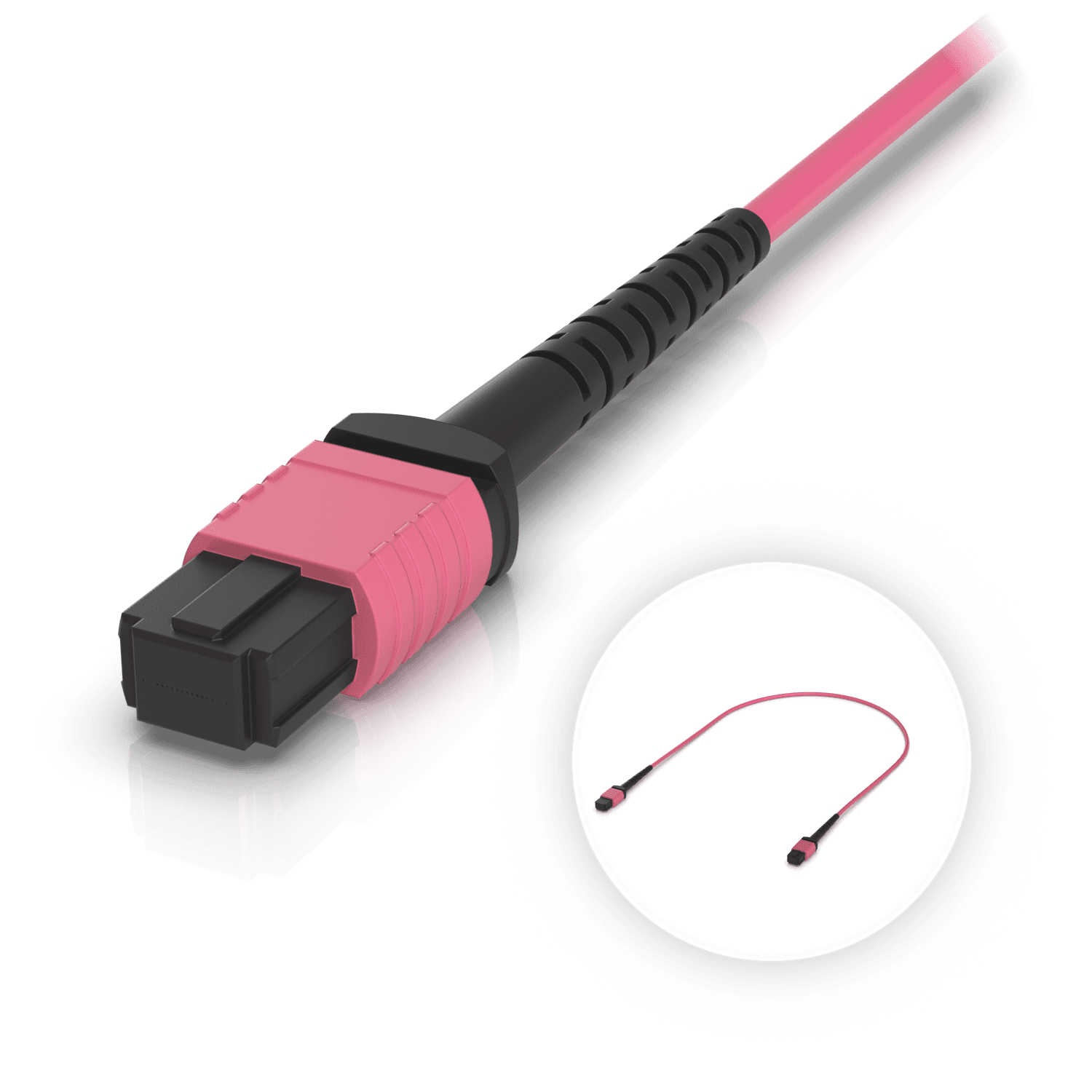 OM4 MPO-12 UPC Fiber Patch Cable