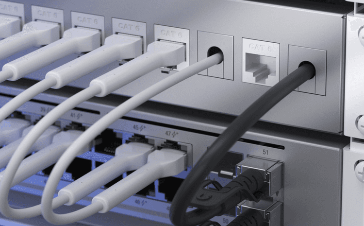 Keystone Blank Insert Pass-Through 12-Pack