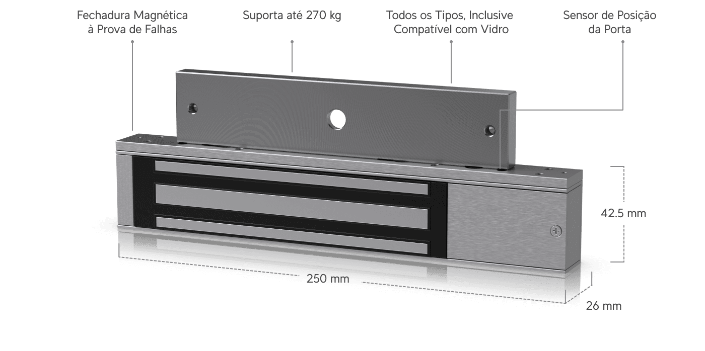Access Magnetic Lock